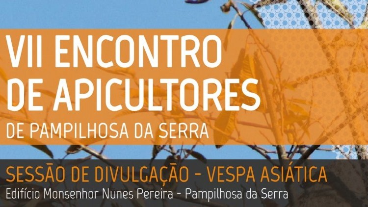 VII Meeting of Beekeepers of Pampilhosa da Serra: Dissemination Session - Asian Wasp